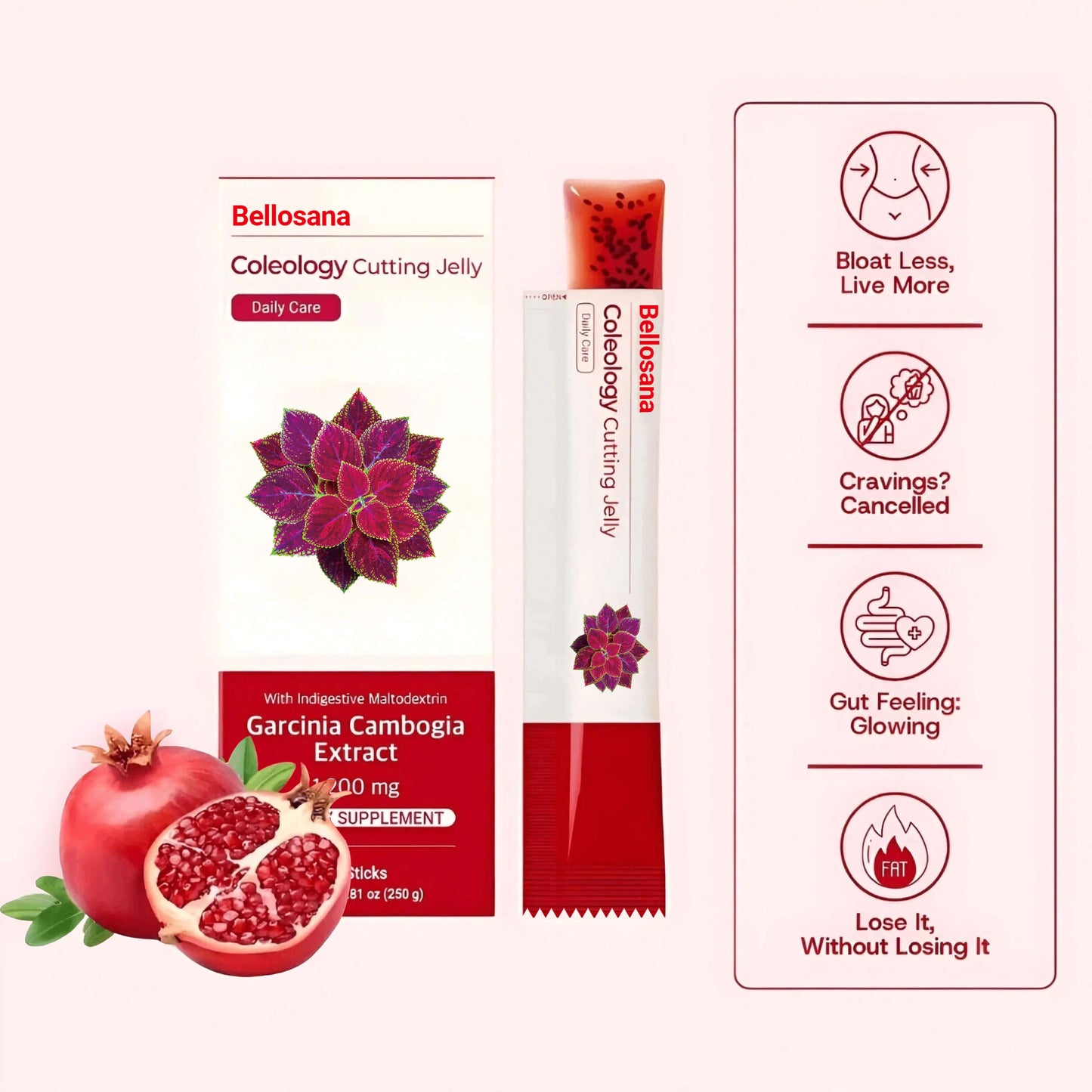 Bellosana Cutting Jelly